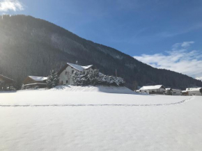 ARLALPIN Pettneu Am Arlberg